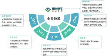 華威醫(yī)藥 國內(nèi)CRO行業(yè)中的互聯(lián)網(wǎng)銷售先鋒